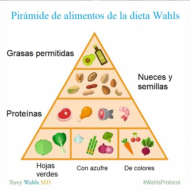 El protocolo Wahls