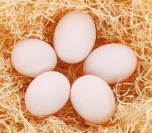 Beneficios de comer huevos