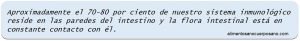que es la flora intestinal