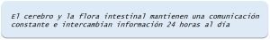 Importancia de la flora intestinal