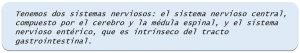 Importancia de la flora intestinal
