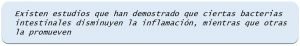 Importancia de la flora intestinal