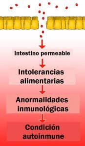 como curar el intestino permeable