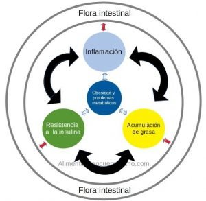 flora intestinal y enfermedades crónicas