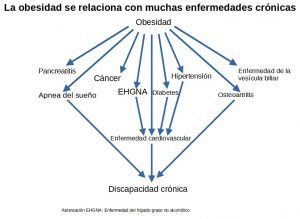 alimentación saludable