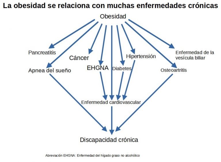 alimentación saludable