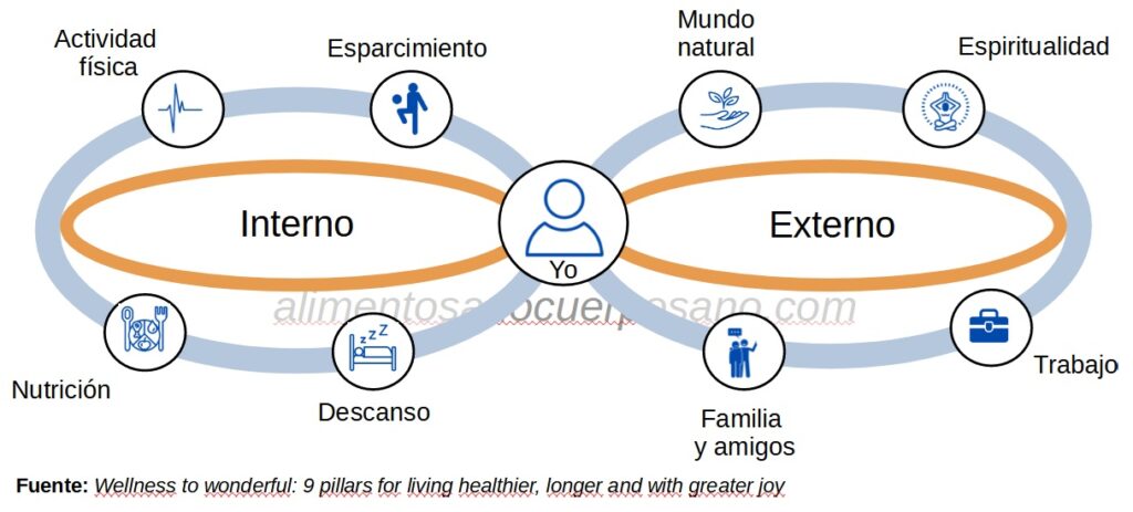 componentes del bienestar