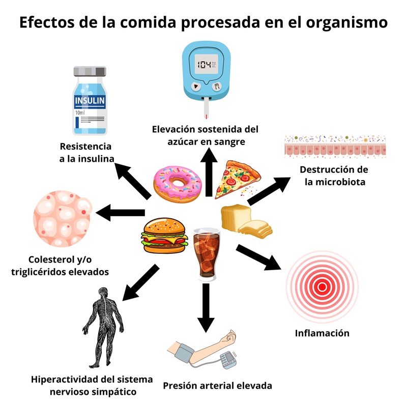 alimentos procesados y riesgo de cáncer